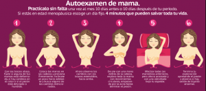 Autoexamen 